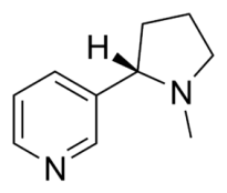 Nicotine structure