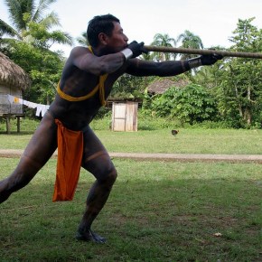 Curare: From Paralyzed to&nbsp;Anesthetized