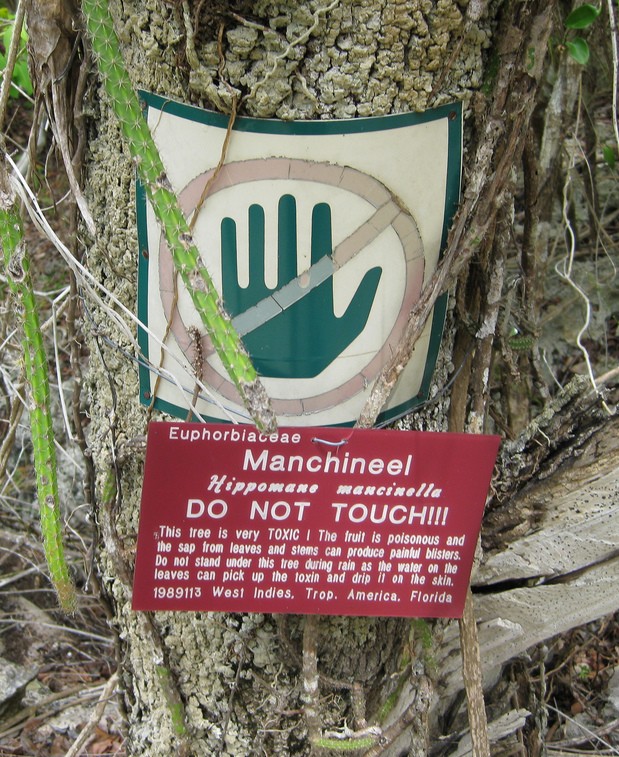 Manchineel tree warning by Scott Hughes via Flickr (CC BY-SA 2.0)