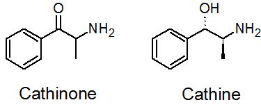 Cathinone-cathine