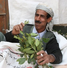 Chewing khat by Ferdinand Reus (CC BY-SA 2.0)