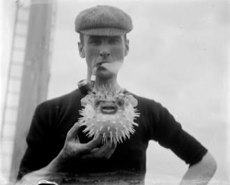 Man with Pufferfish by State Library Victoria (CC BY-NC 2.0)
