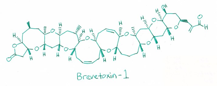 Brevetoxin