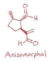 Anisomorphal