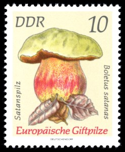 Satans bolete stamp - Germany