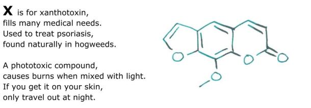 An Alphabet of Poisons(23)